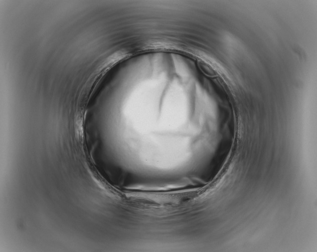 X0000112901241200909111518
