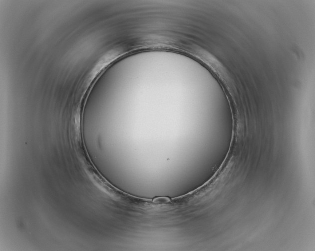 X0000112901242200909111518