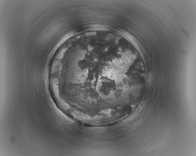 X0000112901243200909111518