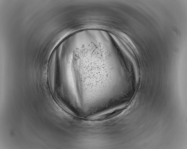 X0000112901244200909111518