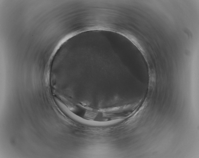X0000112901246200909111518