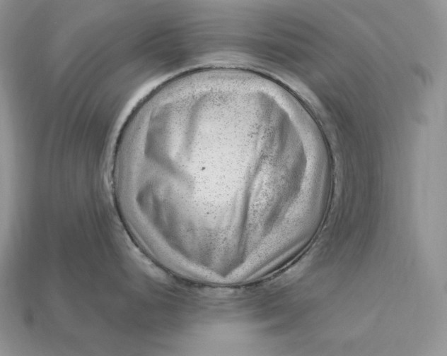 X0000112901248200909111518