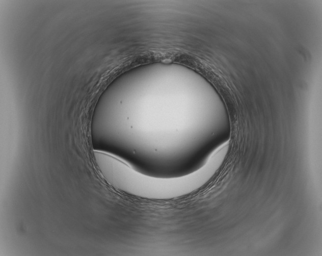 X0000112901249200909111517
