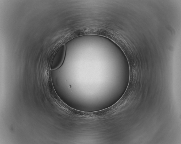 X0000112901250200909111517