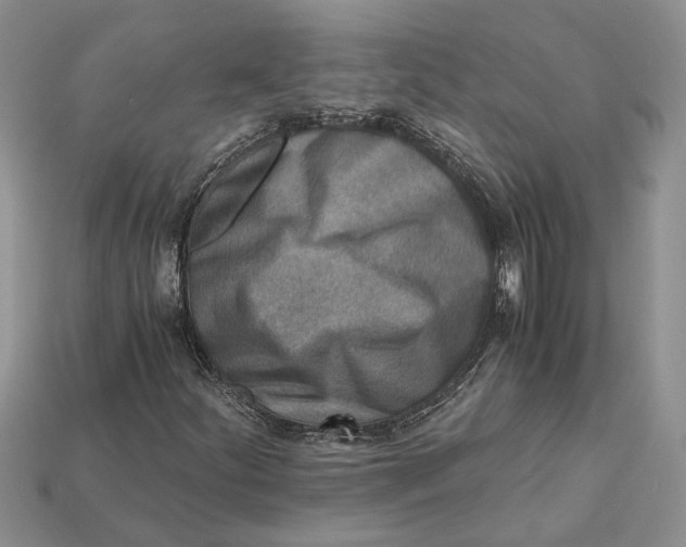 X0000112901252200909111517