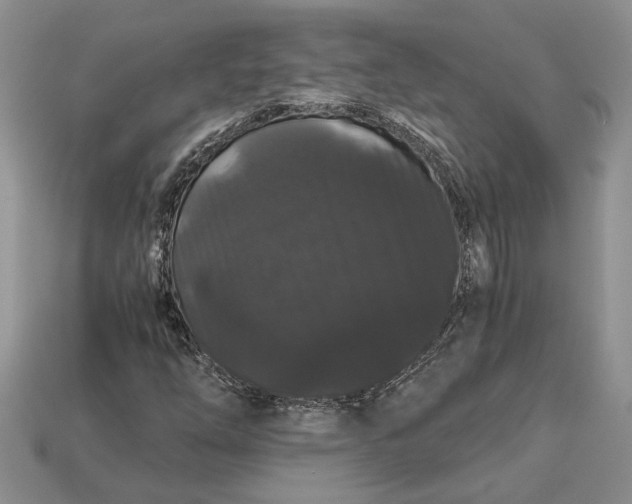 X0000112901254200909111517