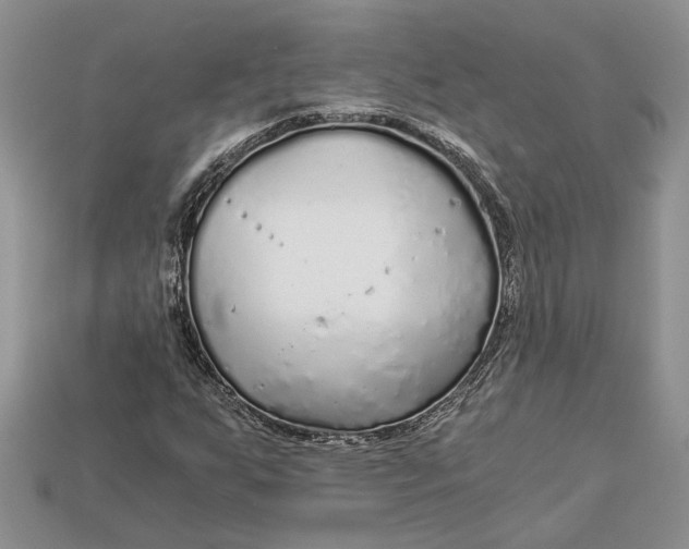X0000112901255200909111517