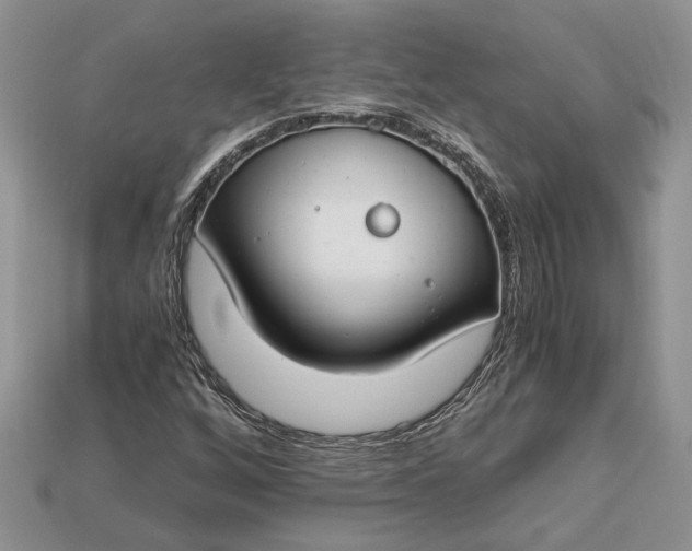 X0000112901256200909111517