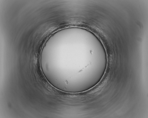 X0000112901257200909111517