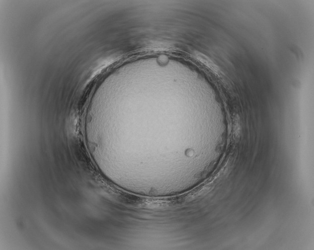 X0000112901258200909111517