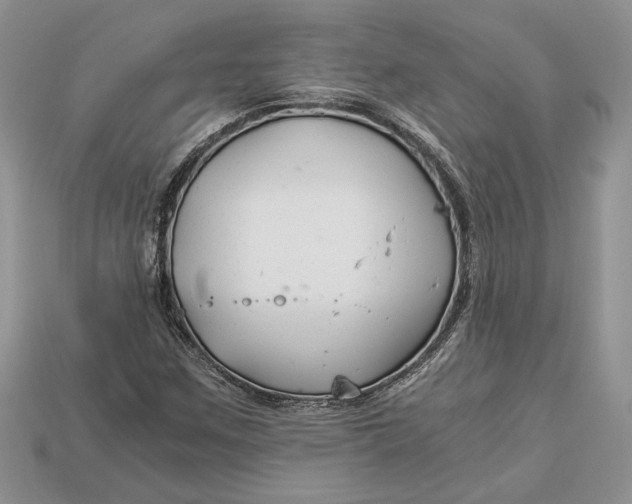 X0000112901259200909111517
