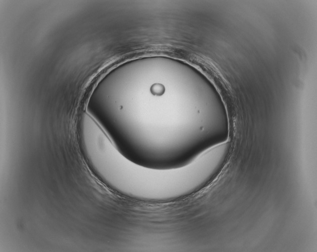 X0000112901260200909111517