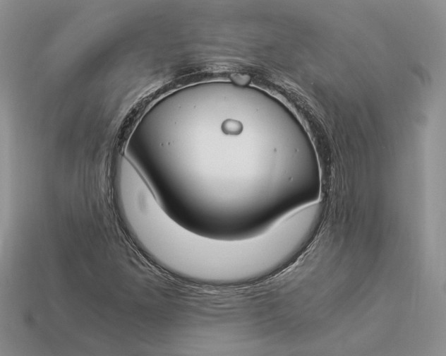X0000112901261200909111517