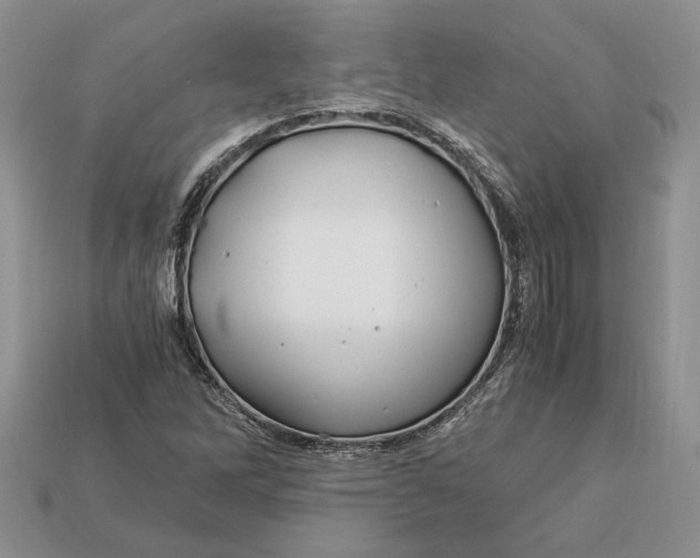 X0000112901262200909111517