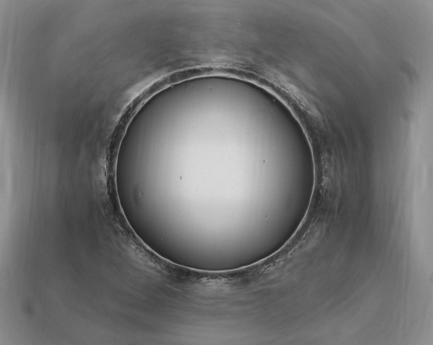 X0000112901264200909111517