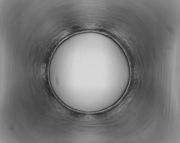 X0000112901265200909111517