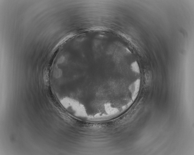 X0000112901266200909111517
