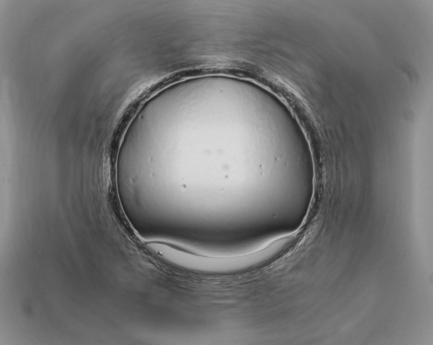 X0000112901267200909111517