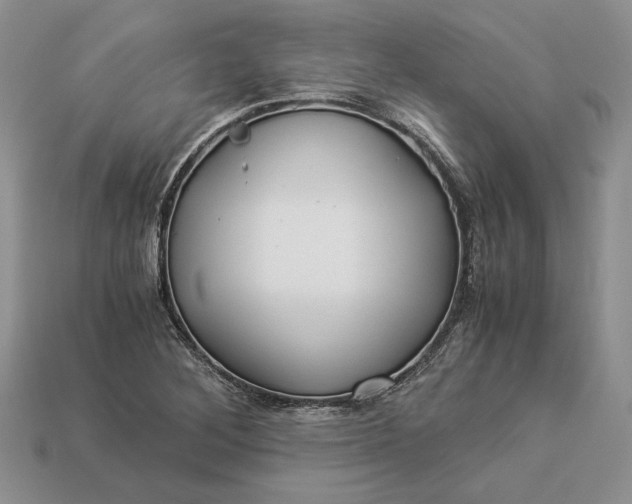 X0000112901268200909111517