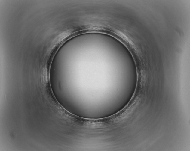 X0000112901269200909111517