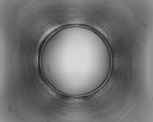 X0000112901270200909111517