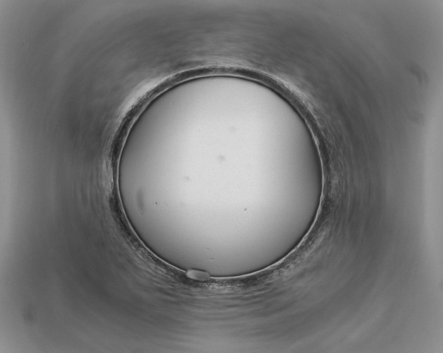X0000112901271200909111517