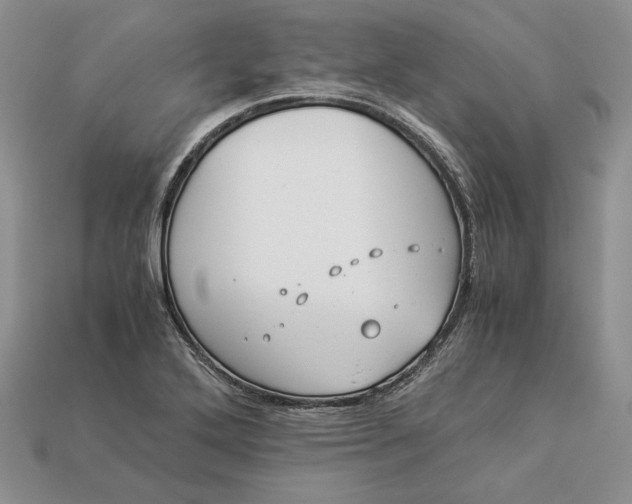 X0000112901272200909111517