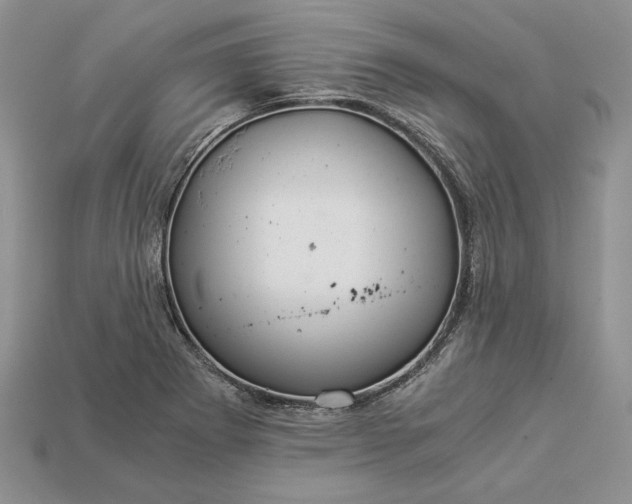 X0000112901273200909111517