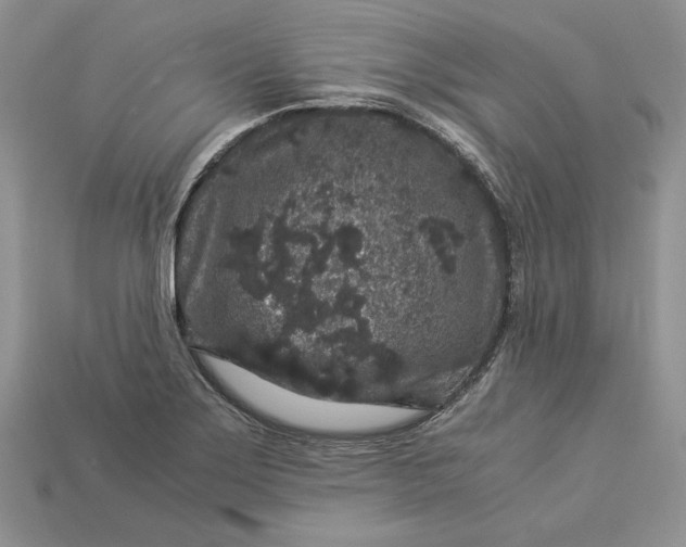 X0000112901275200909111517