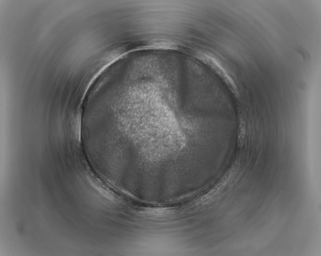 X0000112901276200909111517