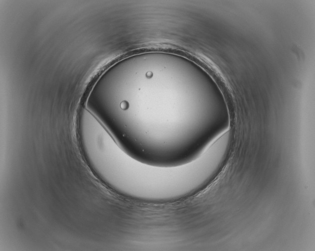 X0000112901277200909111517