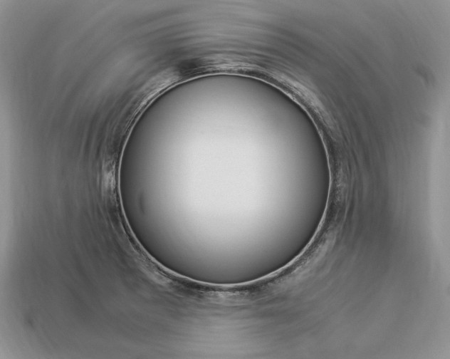X0000112901281200909111517