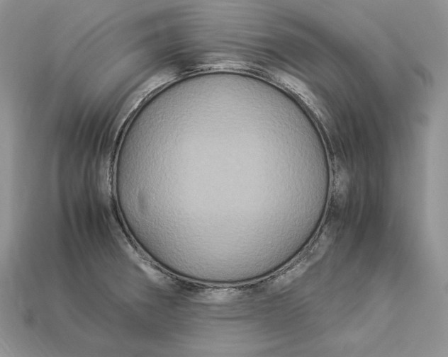 X0000112901282200909111517