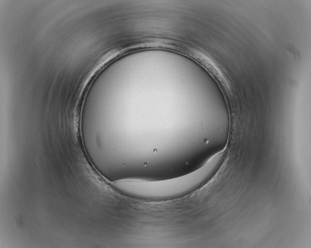 X0000112901284200909111517
