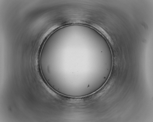X0000112901285200909111517