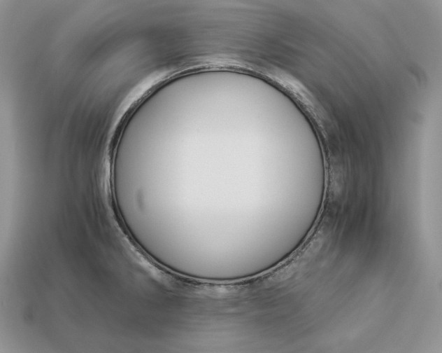 X0000112901286200909111517