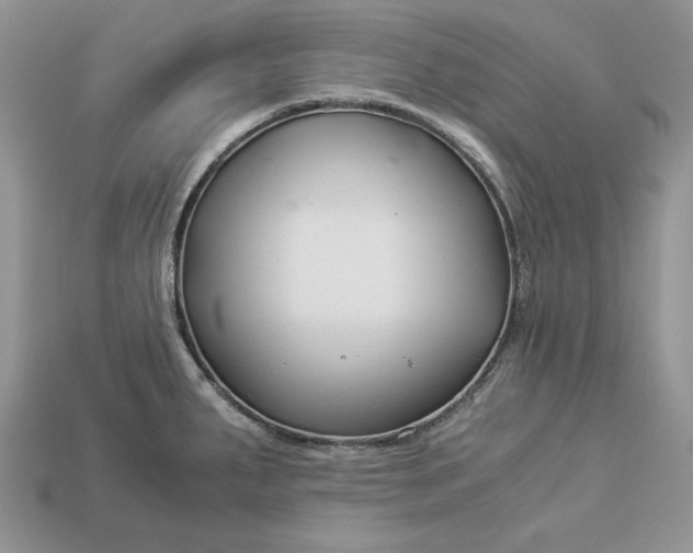 X0000112901287200909111517