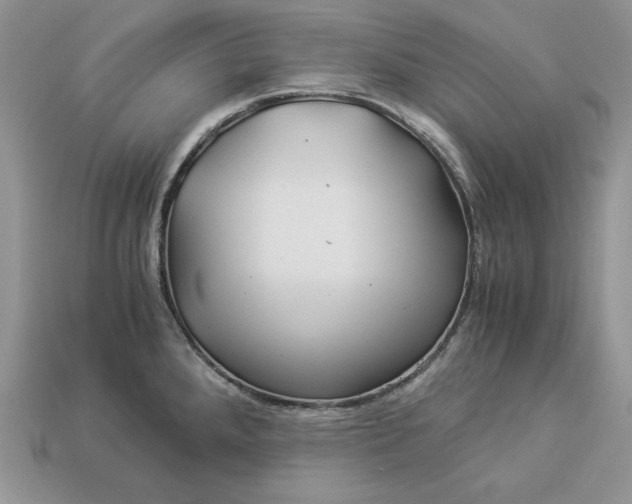 X0000112901288200909111517
