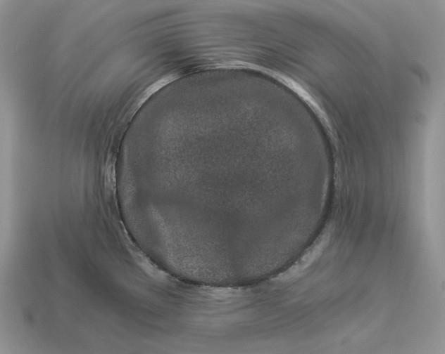 X0000112901289200909111517