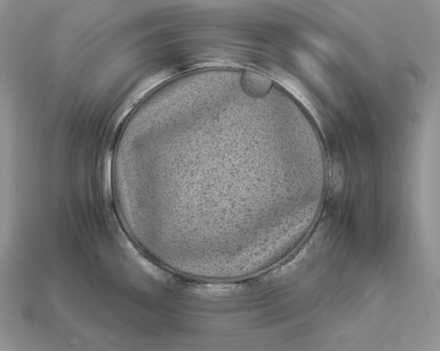 X0000112901290200909111517