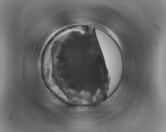 X0000112901291200909111517