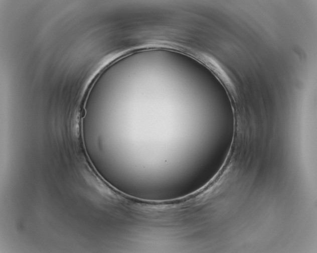 X0000112901292200909111517