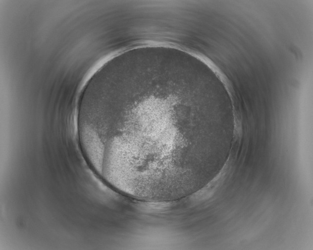 X0000112901294200909111517