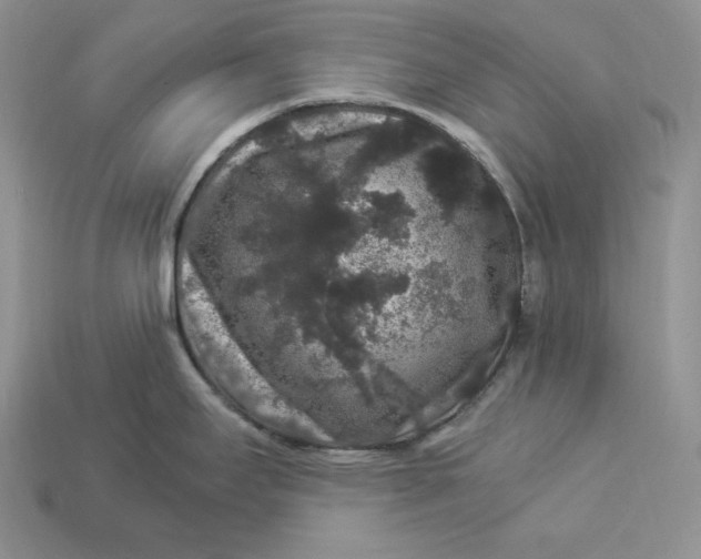 X0000112901295200909111517