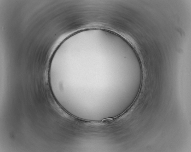 X0000112901296200909111517