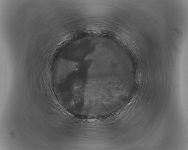 X0000112901297200909111516
