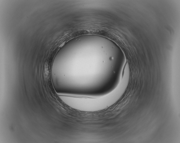 X0000112901298200909111516