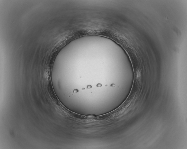 X0000112901300200909111516