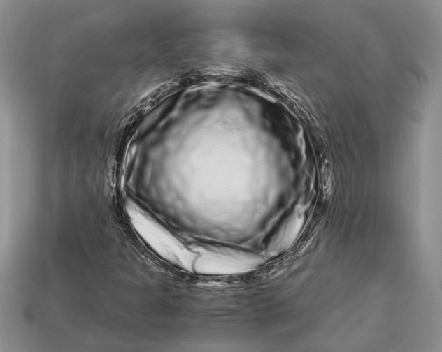 X0000112901301200909111516