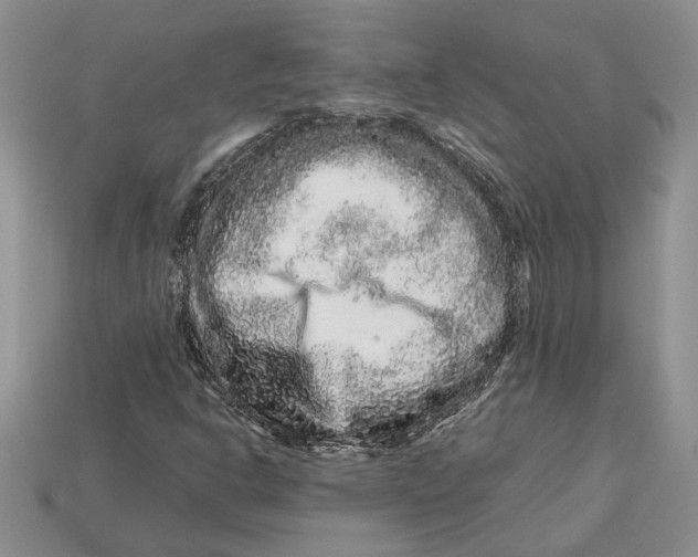 X0000112901302200909111516